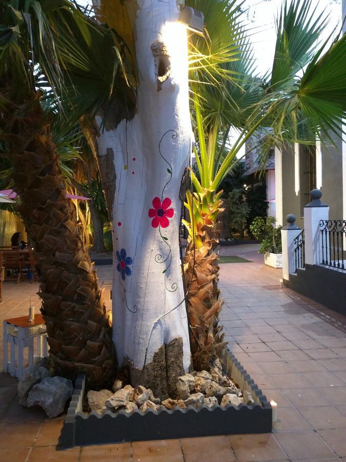 Nwt Paradise Urban Hostel Alicante Extérieur photo