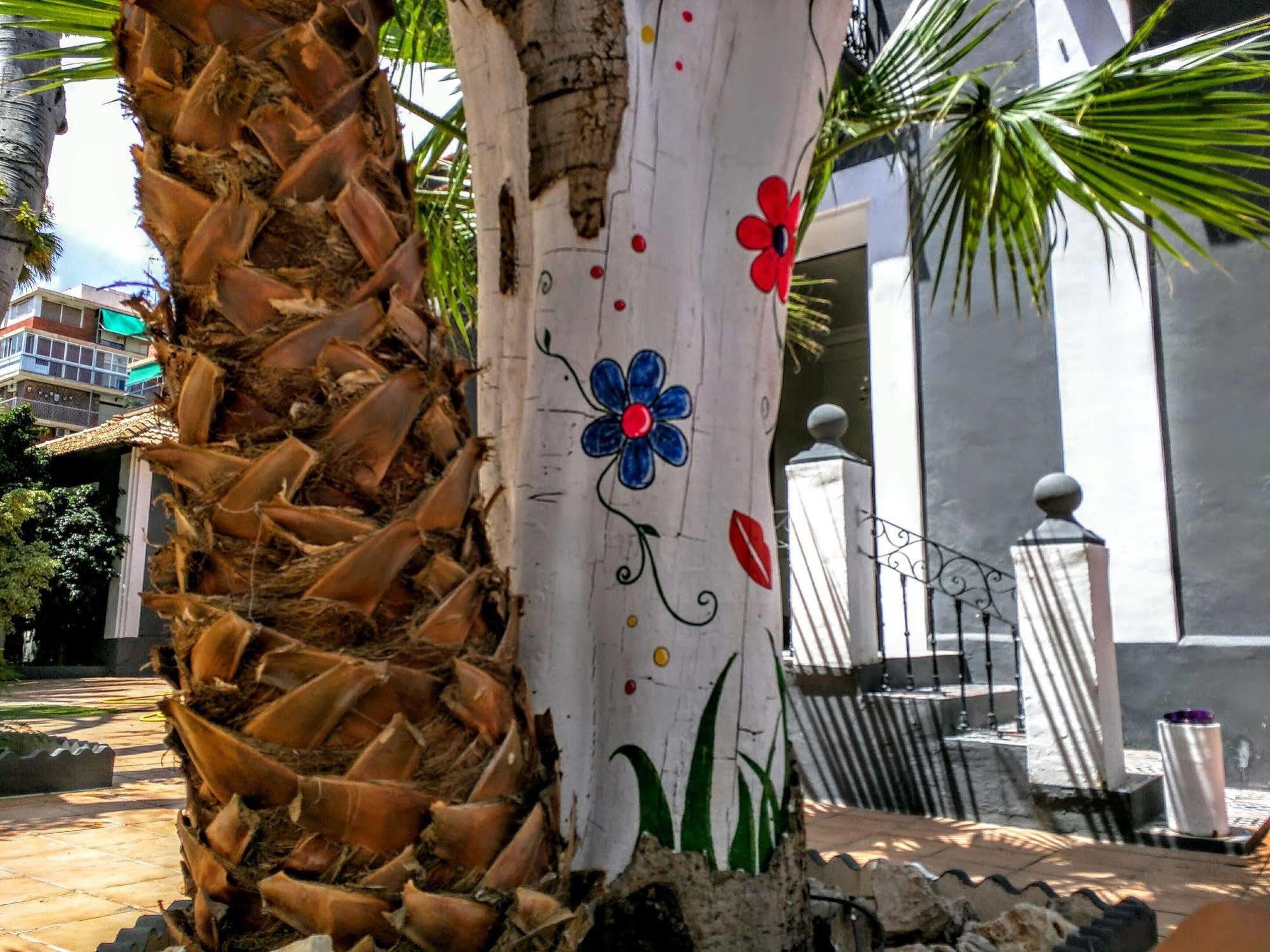 Nwt Paradise Urban Hostel Alicante Extérieur photo